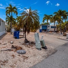 RV553