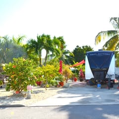 RV406