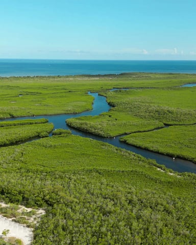 Aerial view of Florida Keys mangroves and waterways