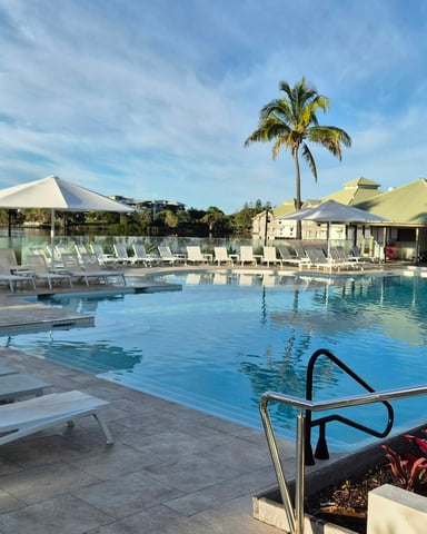 Resort pool with palm trees
