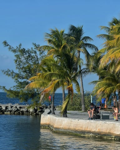 Waterfront seawall with palm trees on the Florida Keys