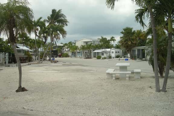 YRV068 - Image 1