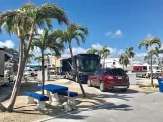 RV299