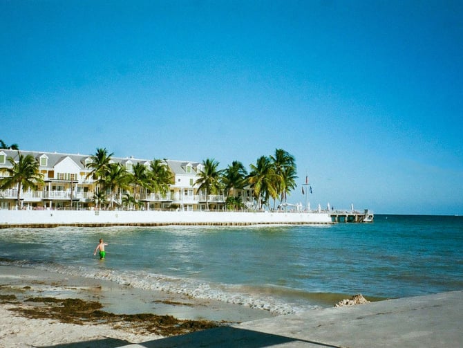 Key West waterfront with palm trees